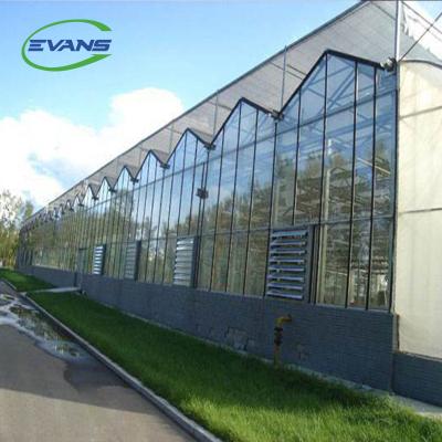 China Stable And Strong Structure Intelligent Control System Glass Covering Panel Large Size Glass Greenhouse for sale