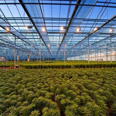 China Strong Structure Commercial Glass Greenhouse For Light Deprivation Glass Greenhouse Planting for sale