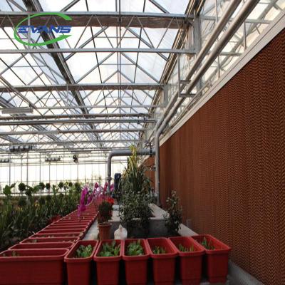 China Strong Structure Multi Span Greenhouse Climate Control Systems Glass Panels for sale