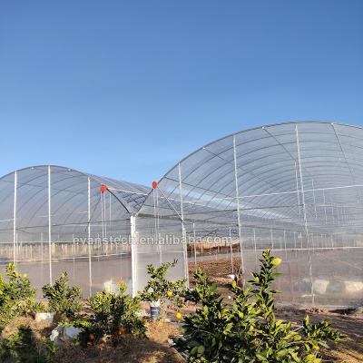 China Easily Assembled Commercial 120 Micron 150 Micron 200 Micron Plastic Sheet UV Resistant Greenhouse For Tomatoes for sale