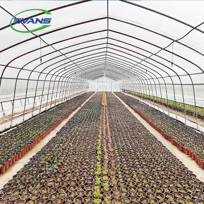 China Single-span Chinese Greenhouse Easily Assembled Polytunnel Green House For Sale for sale