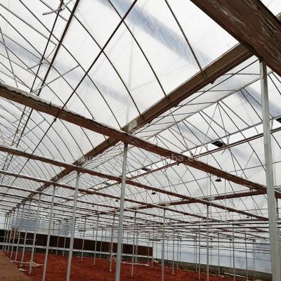 China Easily Assembled Agricultural Plastic Film Gutter Connected Greenhouse With Shading System for sale