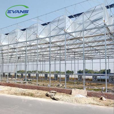 China Plastic design easily compiled for tropical climate poly film greenhouse for sale