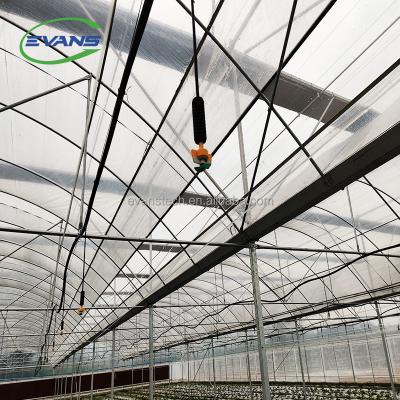 China Hot Selling Easily Assembled Agricultural Plastic Film Greenhouse With Roof Ventilation For Sale for sale