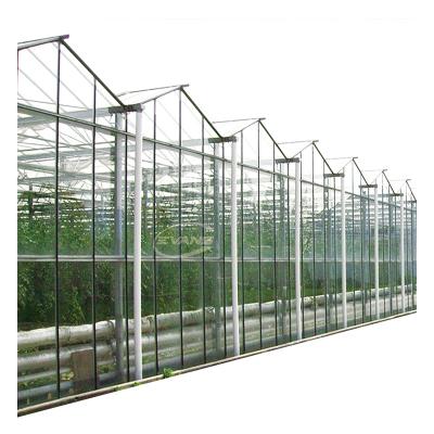 China High Transmission Heavy Duty Galvanized Steel Frame Large Glass Truss Agricultural Greenhouse for sale