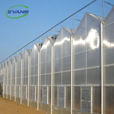 China UV Resistant High Quality Large Multi-span Agricultural Greenhouse With UV Resistant Polycarbonate Greenhouse for sale