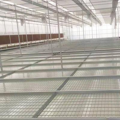 China Hydroponic Rolling Bench Ebb And Flood Tables Commercial Seedling Rolling Bench Used In Greenhouse for sale