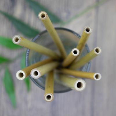 China Safest Biodegradable Straws Reusable Natural Drinking Straws CLASSIC Natural Organic Bamboo Bulk for sale