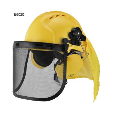 China Support Customization Import ABS Safety Helmets Protective Ear Face Muff Set Helmet Construction Safety E6020 for sale