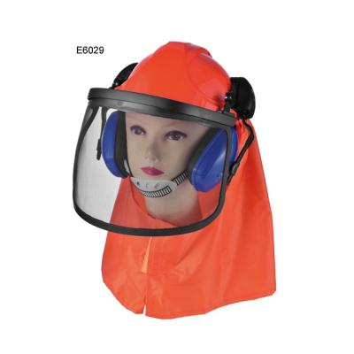 China import ABS hard hats with protective mask ear muff and visor E6029 for sale