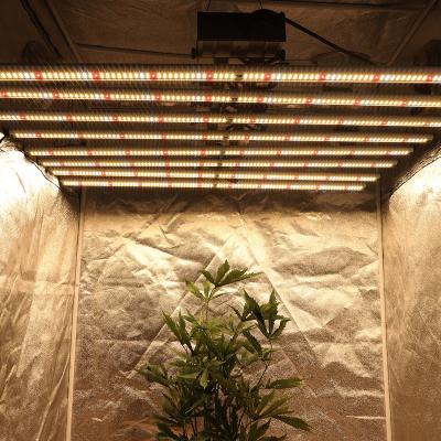 China Seed Starting Growing Greenhouse Equivalent HPS ETL DLC Hydroponic Full Spectrum 640W 800W Led Grow Light for sale