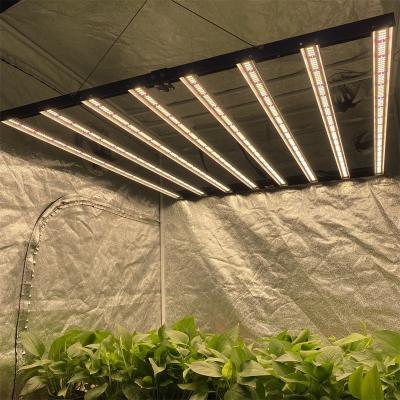 China Seed Starting CTII720W Canada Stock Free Shipipng High Brightness LED Board Hidroponic 720W Led Growing Light for sale