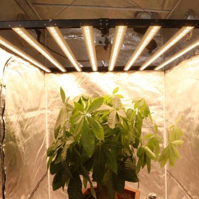 China HOT Selling Dimable New Full Spectrum Hydroponic Designing Foldable LED Grow Light 720W With Dimming for sale