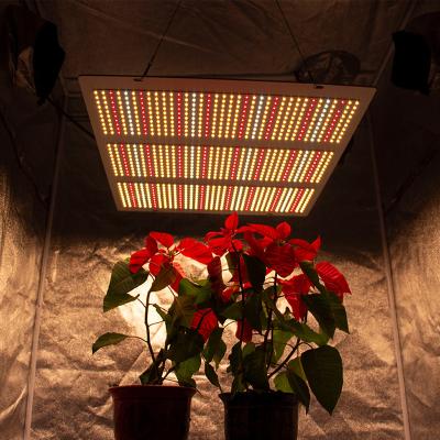 China Top quality Cretivity Greenhouse Full Stage 301b Full Spectrum 240W 480W 640W Diodes 240W 480W 640W Led Board Led Grow Light for sale