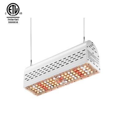 China Seed Starting LM 301B 301H Qb288 High Quality Lm301h Led Board Led Grow Lights For Indoor Plants for sale