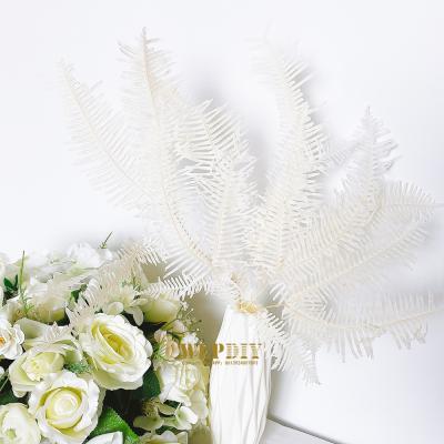 China Natural dry flowers flower bouquet real dry flowers of Osmunda Forest Flower Arrangement Decoration Wedding simple white for sale