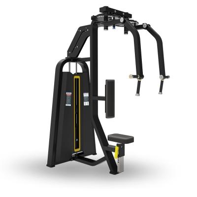 China Universal Commercial Gym Machine REAR DELT Gym Equipment Plate Loaded Training Machine for sale