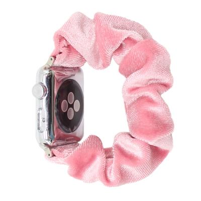 China New Elastic Band Design Trend 38mm/40mm Pet Apple Watch Band For Series 5/4/3/2/1 for sale