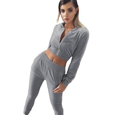 China Wholesale Breathable Women Autumn Long Sleeve Zipper Crop Tops Gym Sport Wear Hoodie Pants Set Woman Tracksuit for sale