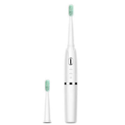 China 2022 Dupont Electric Toothbrush Battery Operated Sonic Electric Toothbrush for sale