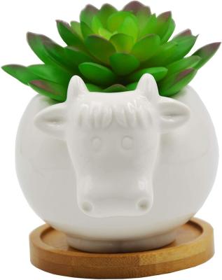 China Europe AnimalCartoon Cactus Vase Cute Ceramic Succulent Flower Pot for sale