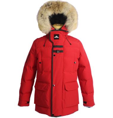 China Wholesale Waterproof Mens Parka Thermal Outdoor Heavy Filled Coat with Natural Raccoon Fur in Red for sale