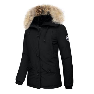 China Waterproof Warm Selling Raccoon Fur Hooded Padded Jacket For Women for sale