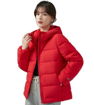 China Winter QUICK DRY Women's Jacket Lady Hot 2020 Fashion Down Coat Hot Sale for sale