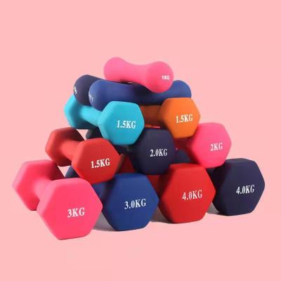 China New Type Gym Exercise 0.5Kg High Quality Training OEM Fitness Dip Women Anti-Slip Rubber Dumbbells for sale