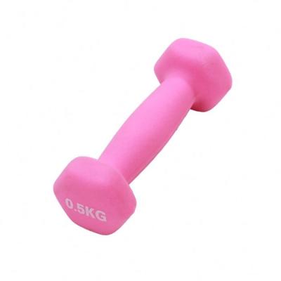 China Multifunctional Home Training Equipment Fitness Equipment Anti-Slip Strength Dip 1Kg Easy Adjustable Dip Dumbbell Suit for sale