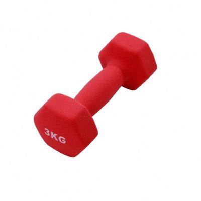 China Wholesale High Quality Training Anti-skid Strength Gym Fitness Workout Price Cast Hex Dip Dumbbell for sale