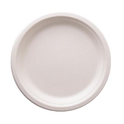 China Good Eco - Friendly Disposable Biodegradable Sugar Cane Degradable Tableware Minimalist Price for sale