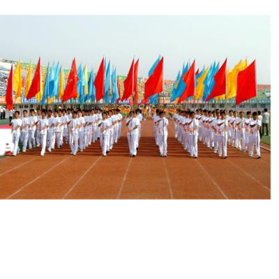 China Different Designs Wholesale Polyester Outdoor Decorative Flying Multinational Flag for sale