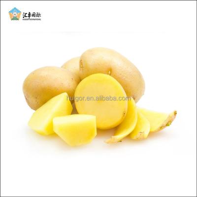 China 2017 Fresh New Crop Healthy Russet Potato In Mesh Packaging Bags for sale