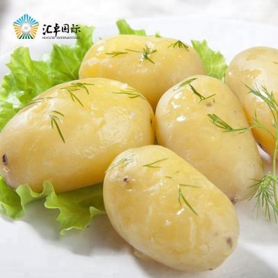 China Farm Fresh Green Factory Holland Fresh Potatoes Wholesale for sale