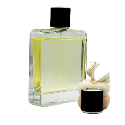 China Cosmetic Luxury Square 100ml perfume Bottle Spray Refillable Perfume Bottle with Sprayer and Cover for sale