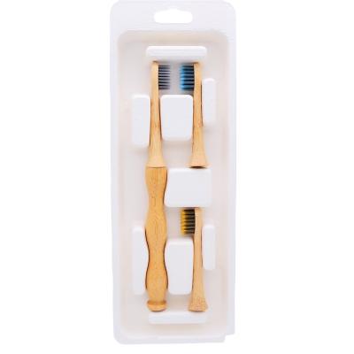 China 3 Disposable Heads and 1 Handle in Pack Bamboo Toothbrush with Removable and Replaceable Head Eco-Friendly Toothbrush for sale