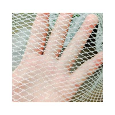 China Peru Chile Blueberry Garden Plant Protection Netting Vineyard Anti Hail Reusable White Bird Net 12m Wide 100m Anti Long for sale