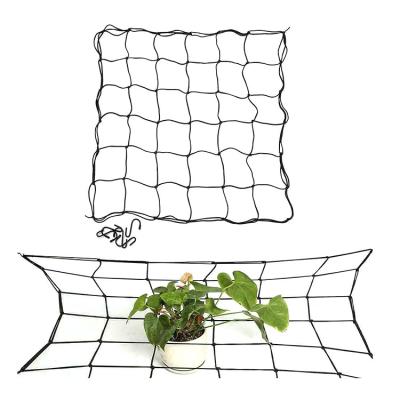 China 40*40cm Planting Planting Trellis Agricultural Horticultural Hydroponic Plastic Netting For Grow Tent Plant Bungee Netting With Indoor Steel Hooks Grow Scrog Netting for sale