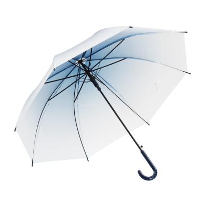 China Best Promotional Wholesale Cheap Plastic 23 Inch Minimalist Eva Umbrella Automatic Open Straight Umbrella For Adult for sale