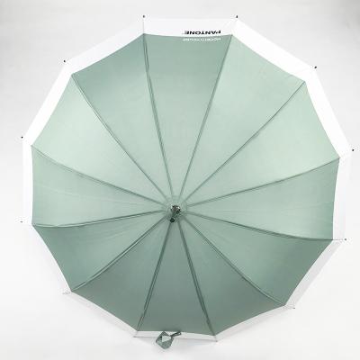 China Minimalist Customized Auto-Open Waterproof Windproof Logo Heat-Transfer Printing Pongee Fiberglass Umbrella for sale