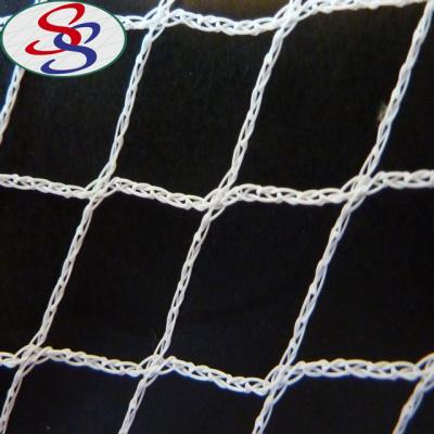 China HDP 500m Vegetable Protective Bird Bird Net Plastic Netting With White for sale