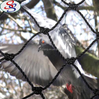 China Anti Bird Bird Mist Netting For Birds for sale