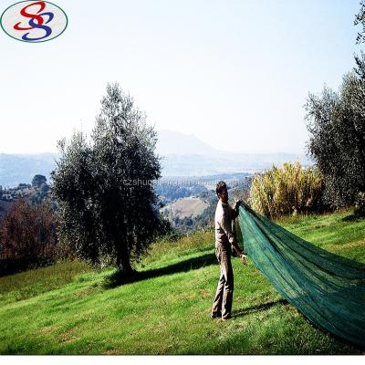 China Collection HDPE Plastic Mesh Olive Fly Harvest Net for sale