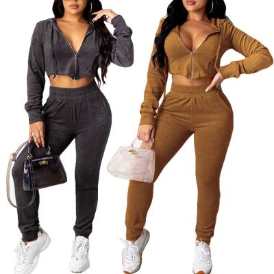 China 2021 Wholesale Custom QUICK DRY Autumn And Winter Hot Style Zipper Up Slim Fit Gym Women Plain Tracksuit for sale