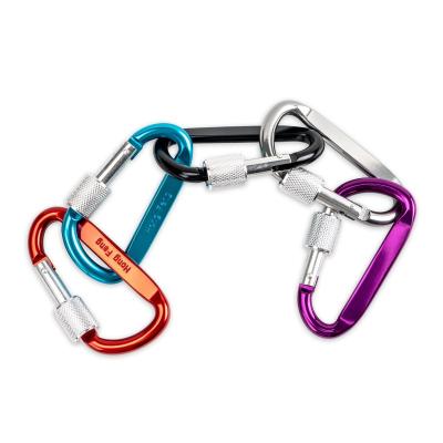 China Retail Industry Keychain Accessories D Shape Carabiner Hooks Carabiner for sale