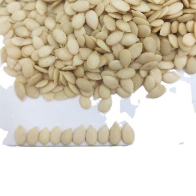 China Export Watermelon Seed Kernel Dry Price for sale