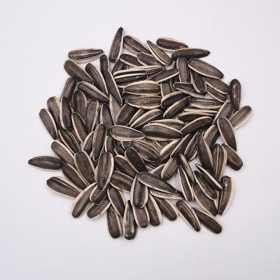 China Chinese dry sunflower seed bulk market price for sale