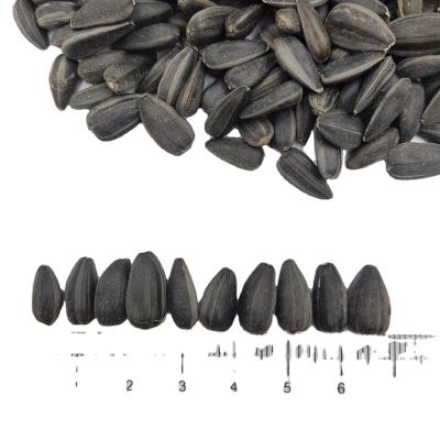 China Paramount Quality Dried Sunflower Seeds for sale