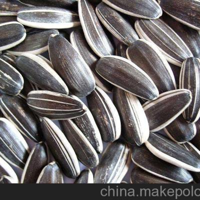 China Wholesale Dry Bulk Type Organic Sunflower Kernels Inner Mongolia China Big Seeds for sale